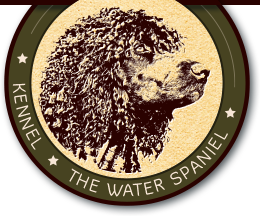 Logo of Kennel - The Water Spaniel
