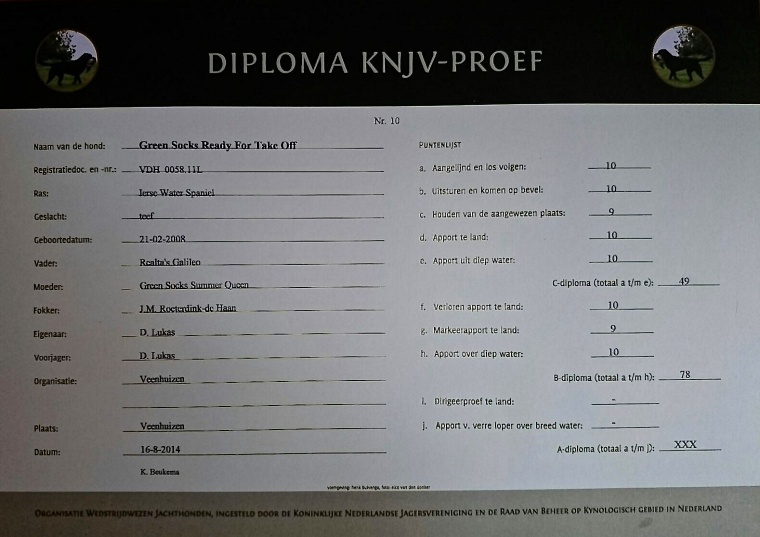 KNJV B diploma